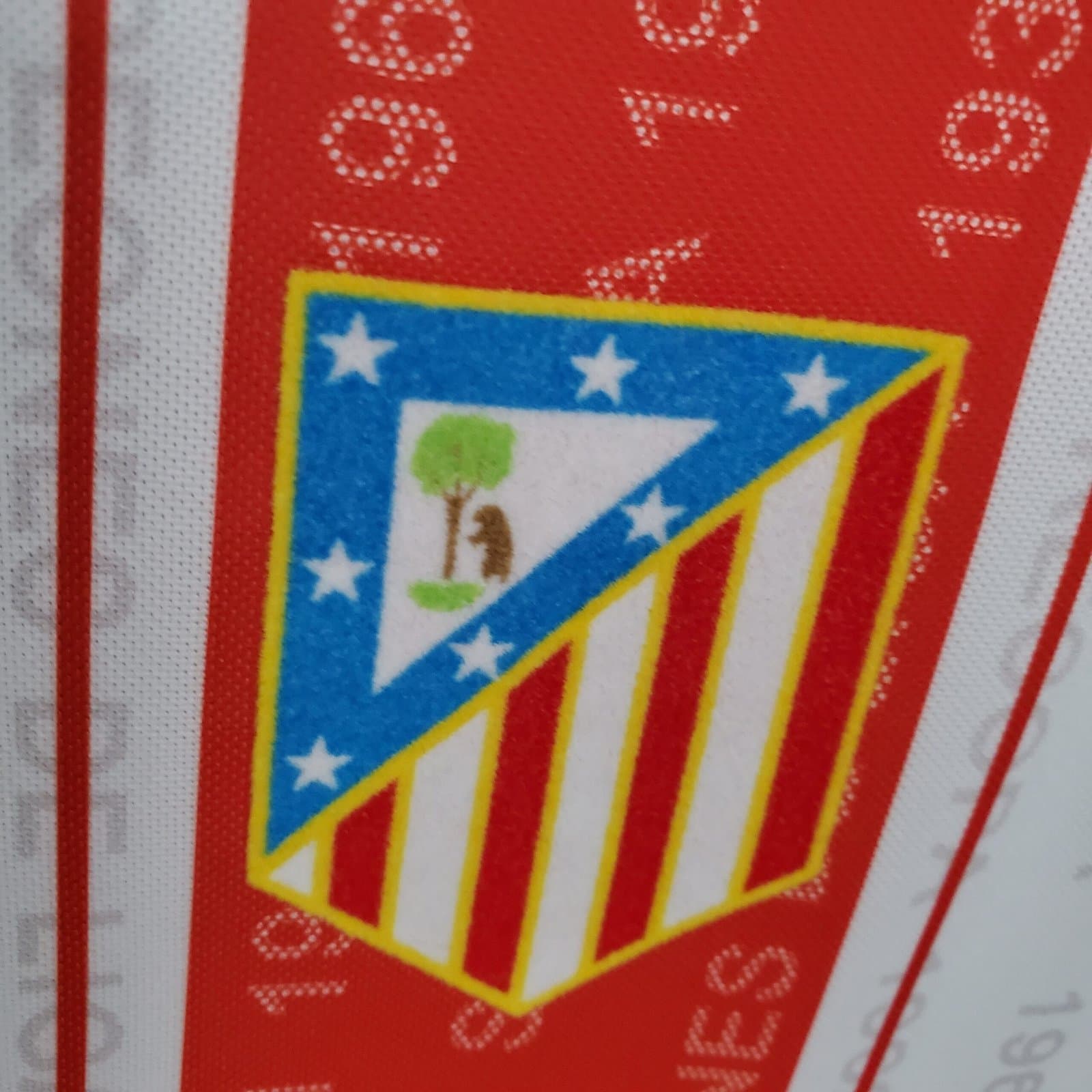 Atlético de Madrid 1995/96 1a Eq. — detalle