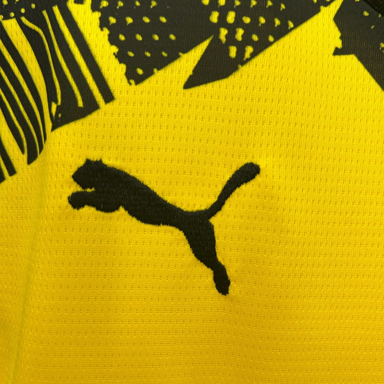 Borussia Dortmund 2025/26 1a Eq. Niño — detalle
