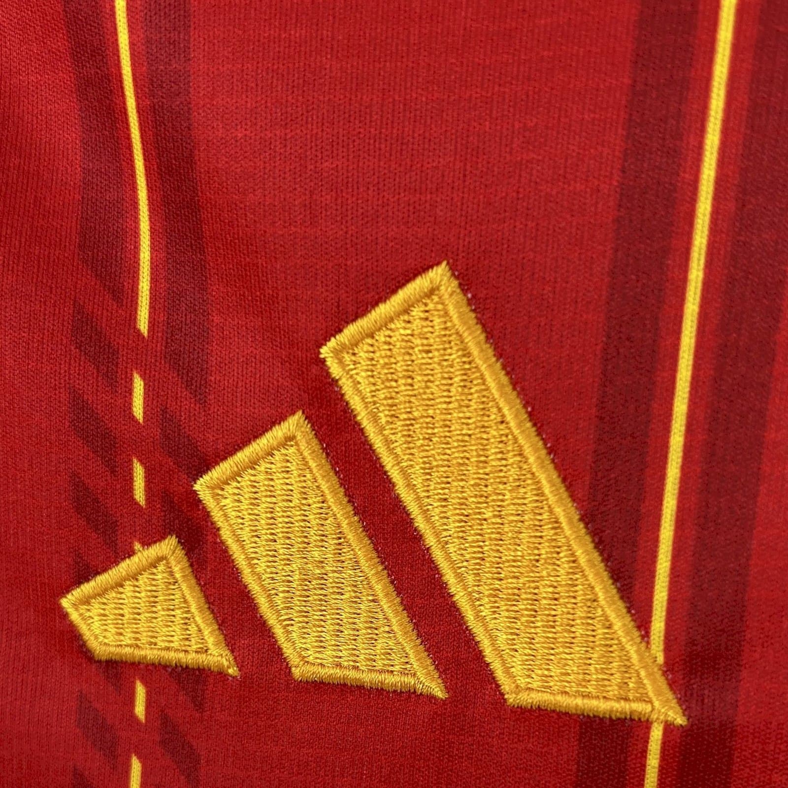 España 2026 1a Eq. — detalle